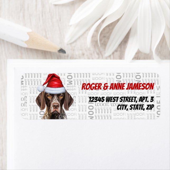 Christmas Shorthair Pointer Dointer Adresse de ret (En situation)