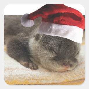Christmas Sleepy Otter Square Sticker