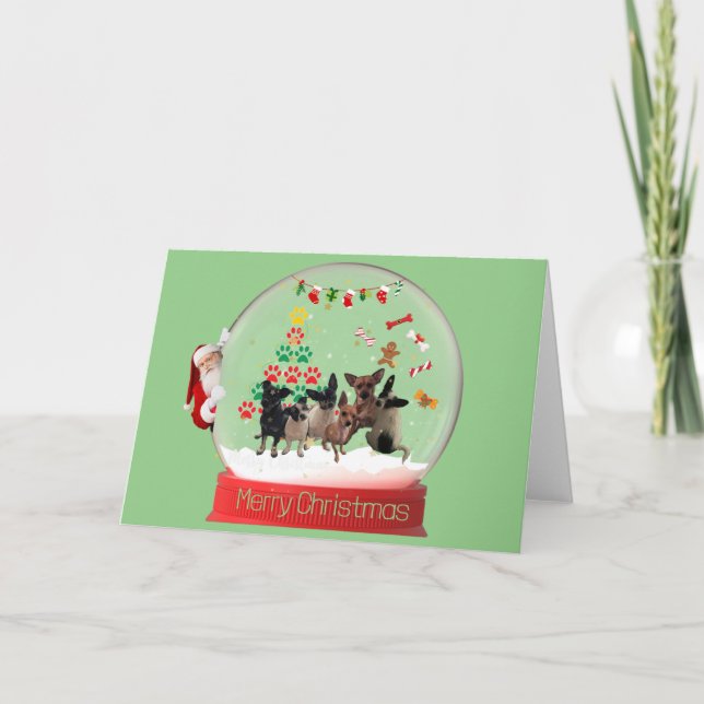 Christmas Snow Globe Chihuahuas Card (Front)