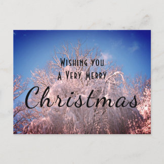 Christmas Snow Trees ! Postcard