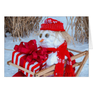 Christmas snowman in sled