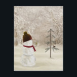 Christmas Snowman With Gold Star Postcard<br><div class="desc">Cute snowman holding a gold star in winter woods with pine tree and bird.</div>