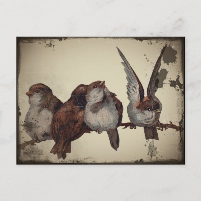 Christmas Sparrows Holiday Postcard (Front)