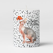 Christmas sphynx cat