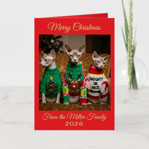 Christmas Sphynx Cats Ugly Xmas Sweater Funny Foil Greeting Card