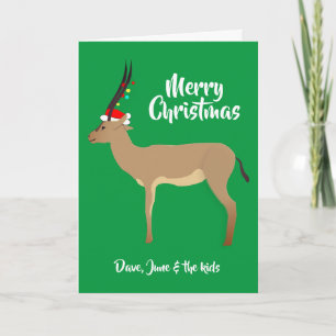 Christmas Springbok Holiday Card