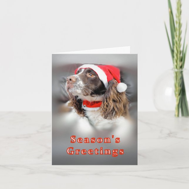 Christmas Springer Spaniel Card (Front)