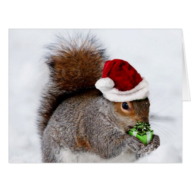 Christmas Squirrel card (Front Horizontal)