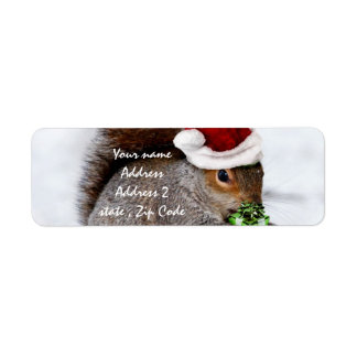 Christmas Squirrel card