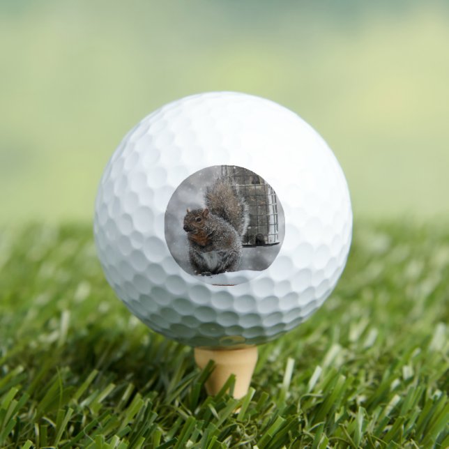 Christmas Squirrel Golf Balls (Insitu Tee)