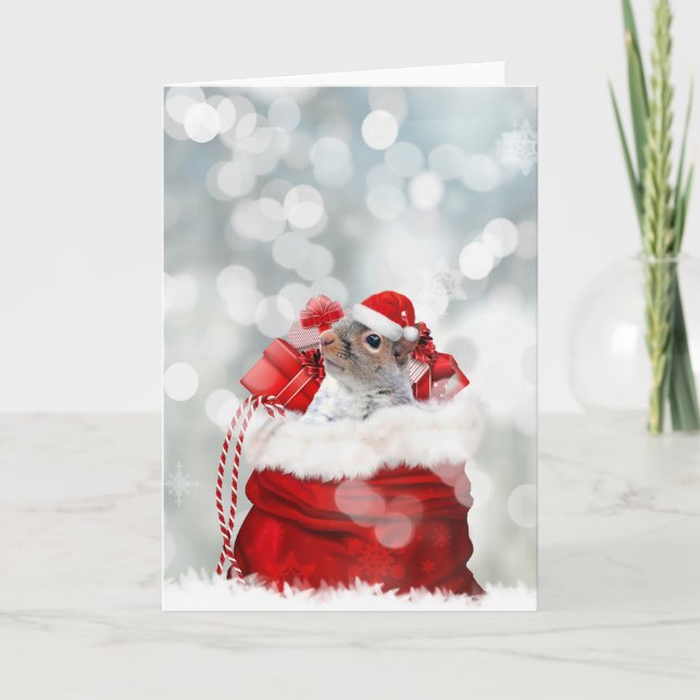 Christmas  squirrel holiday card (Front)