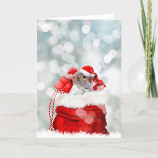 Christmas squirrel holiday card