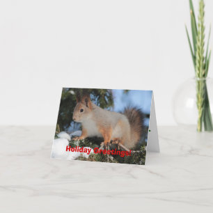 Christmas Squirrel Holiday Greeting Card