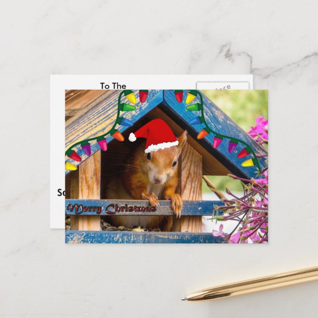 Christmas Squirrel in house Postcard (Front/Back In Situ)