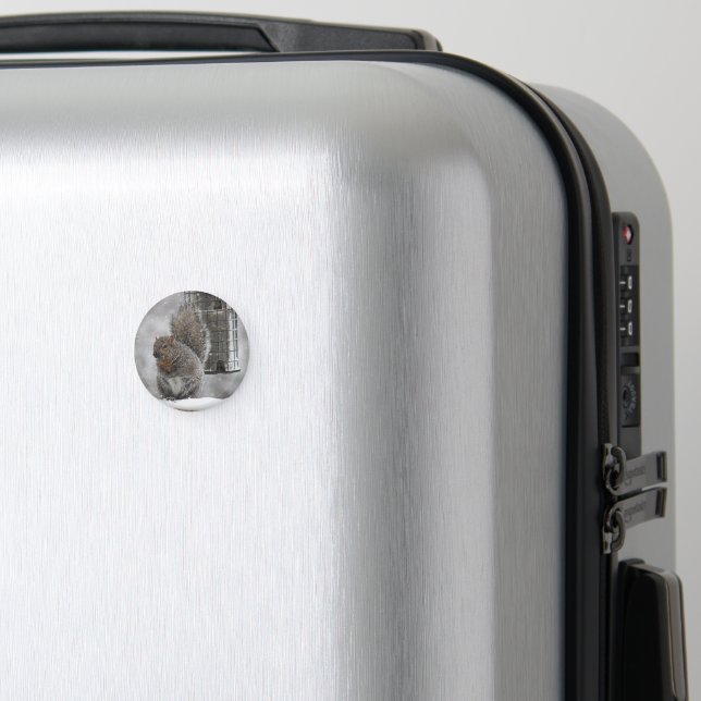 Christmas Squirrel Magnet (In Situ (Luggage))