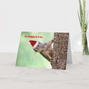 Christmas Squirrel on a Tree Holiday Card