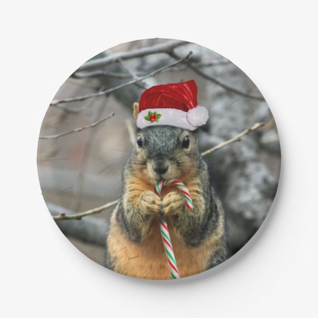 Christmas Squirrel Paper Plate (Front)