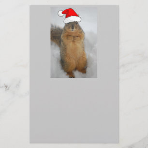 Christmas Squirrel Stationery