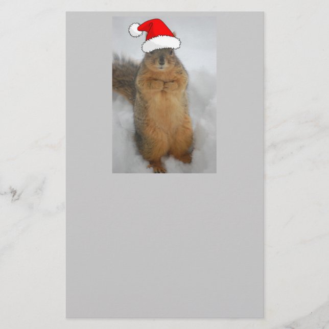 Christmas Squirrel Stationery (Front)