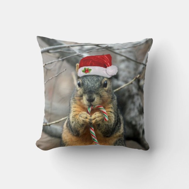Christmas squirrel throw pillow (Front)