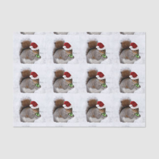 Christmas Squirrel tissue paper