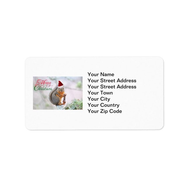 Christmas Squirrel Wearing Santa Claus Hat Label (Front)