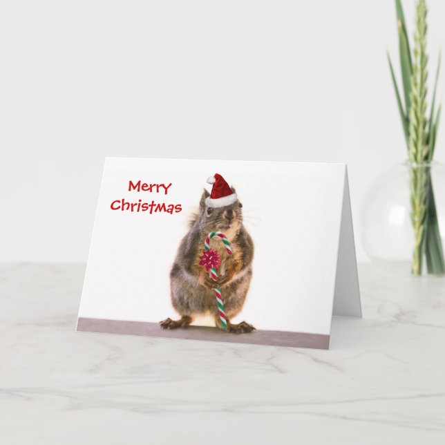 Christmas Squirrel with Candy Cane Holiday Card (Front)