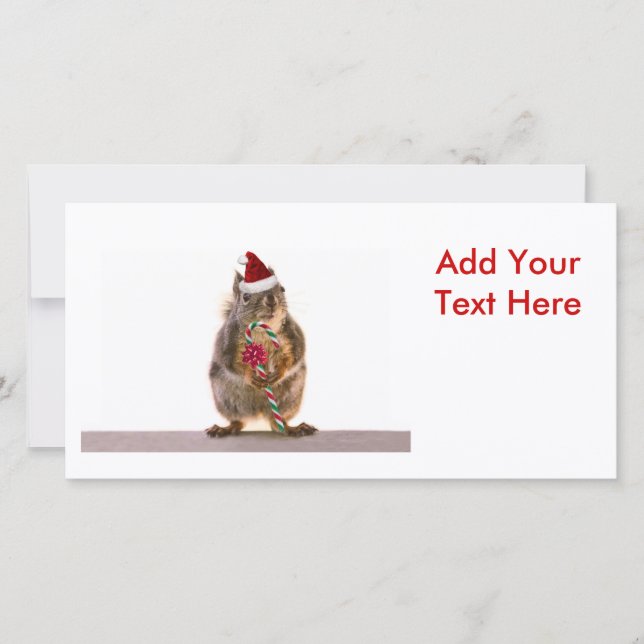 Christmas Squirrel with Candy Cane Holiday Card (Front)