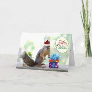 Christmas Squirrel with Christmas Presents Holiday Card