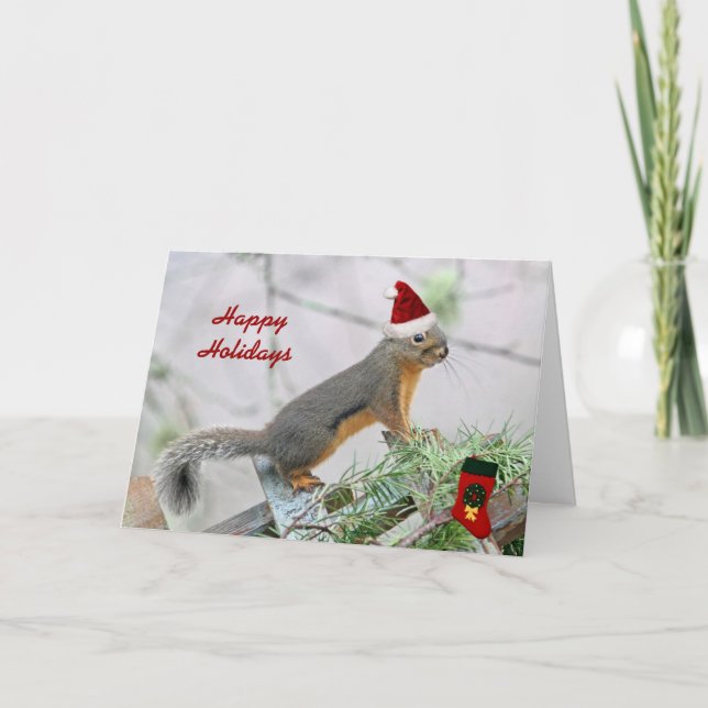 Christmas Squirrel with Christmas Stocking Holiday Card (Front)