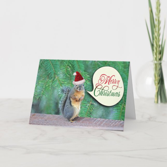 Christmas Squirrel with Evergreen Tree Background Holiday Card (Front)