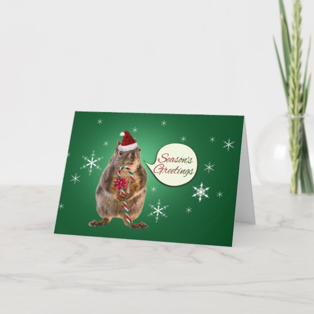 Christmas Squirrel with Snowflakes Holiday Card (Front)