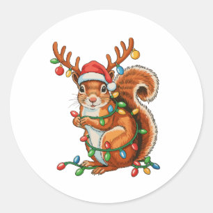 Christmas Squirrel Xmas Lights Cute Holiday Season Classic Round Sticker