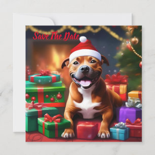Christmas Staffordshire Bull Terrier,   Save The Date