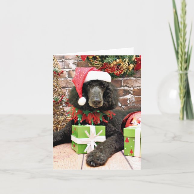Christmas - Standard Poodle - Bronco Holiday Card (Front)