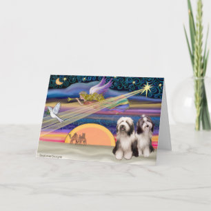 Christmas Star - Bearded Collies (two 1, 4) Holiday Card