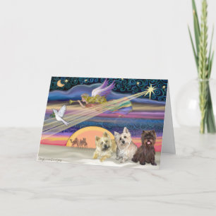 Christmas Star - Cairn Terrier (three) - Holiday Card