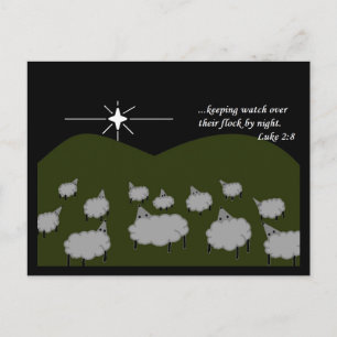 Christmas Star Sheep Watched Flock Luke Two Eight Postcard