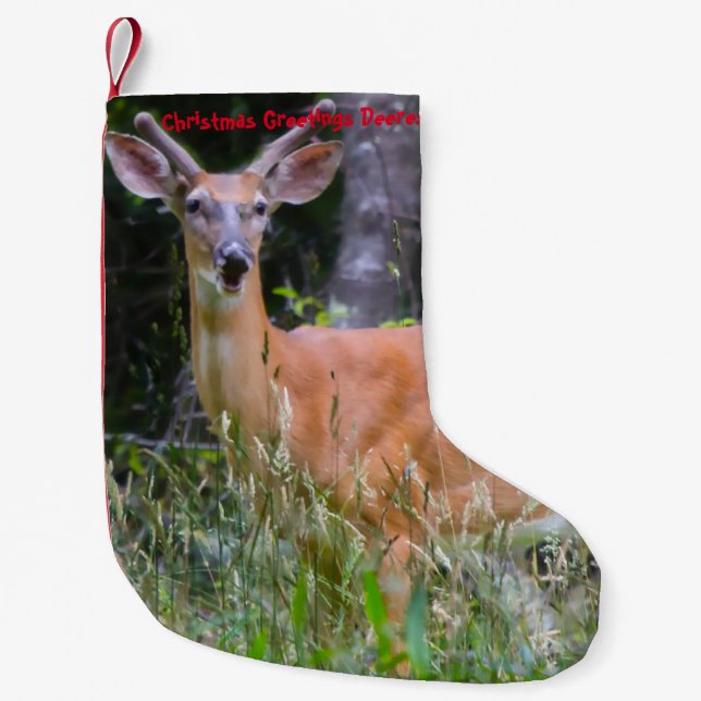 Christmas Stocking (Front)