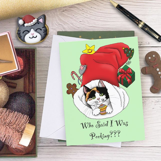 Christmas Stocking Kitten Holiday Postcard (Creator Uploaded)