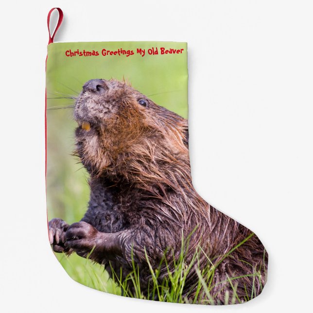 Christmas Stocking My Old Beaver (Front)