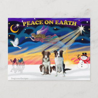 Christmas Sunrise Border Collies (2 brown) Holiday Postcard