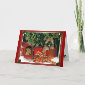 Christmas Surprise Holiday Card