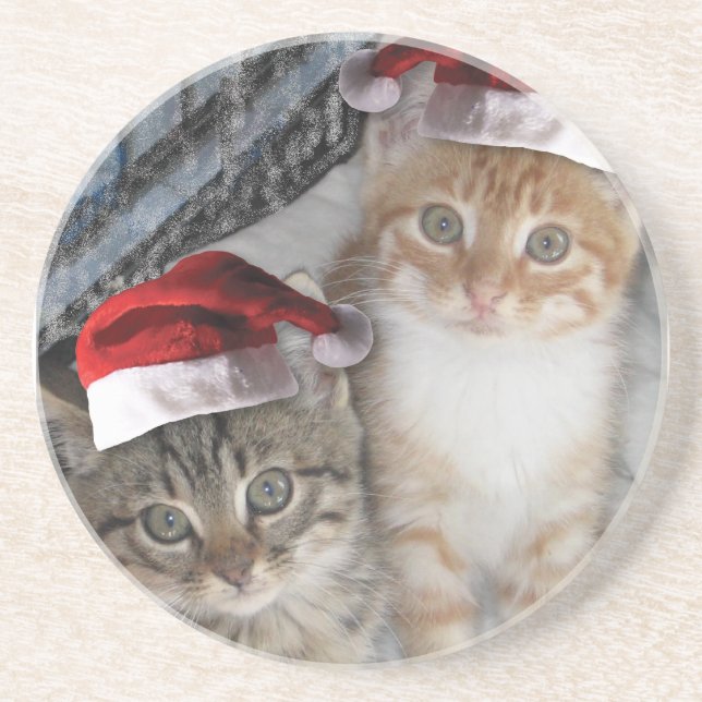 Christmas Tabby Kittens Coaster (Front)