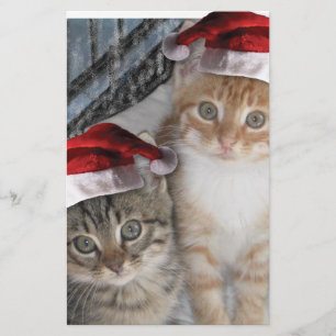 Christmas Tabby Kittens Stationery