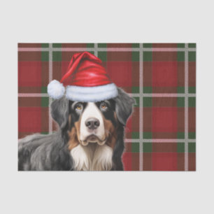 Christmas Tartan Plaid and Bernese Mountain Dog Tissue Paper