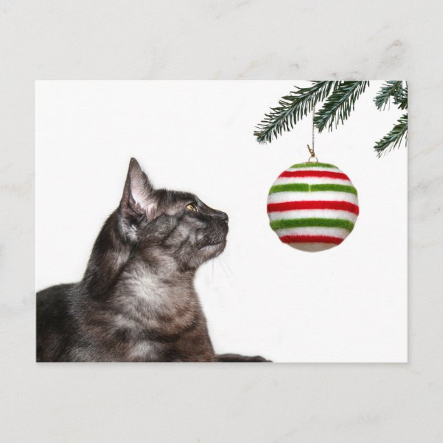Christmas temptation holiday postcard (Front)