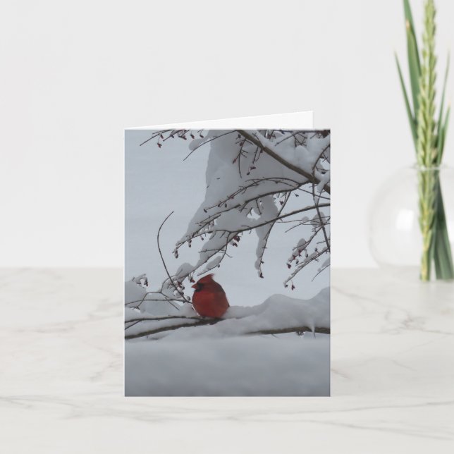 Christmas Thank You card (Front)