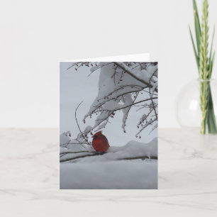 Christmas Thank You card