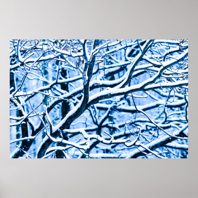 Christmas time forest poster (Front)